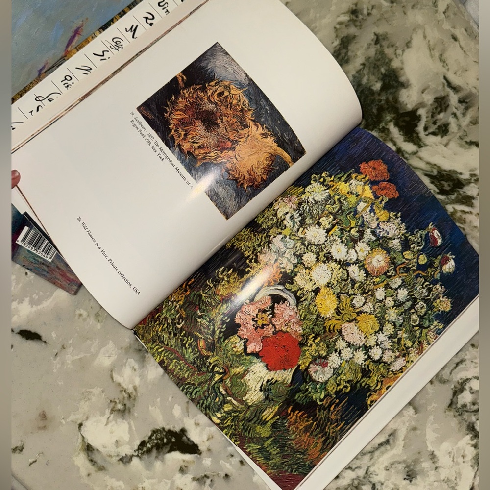 Vincent Van Gogh coffee table book (Phidal Art Series) - printed in Italy 1990 - Picture 8 of 16